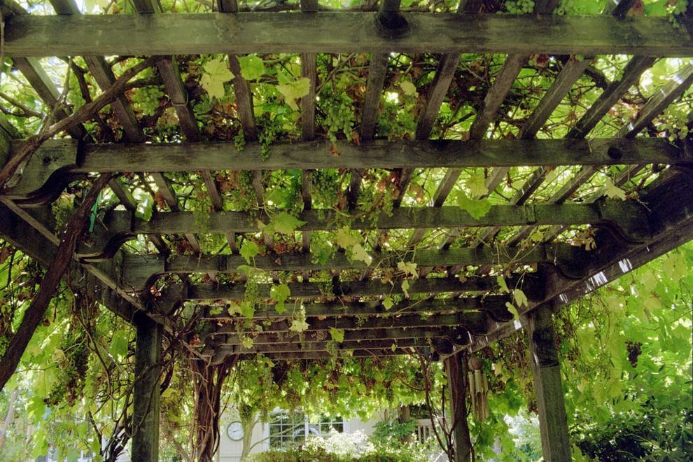 Деревянная конструкция навеса для винограда