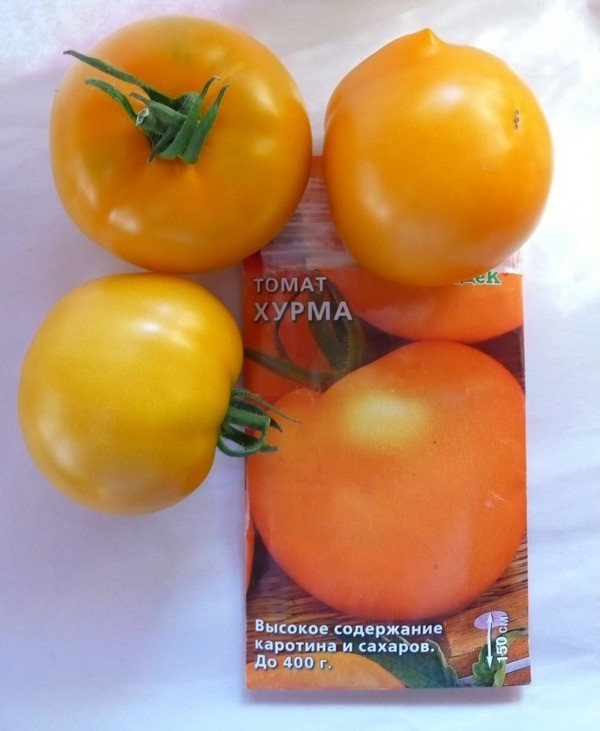 Желтые помидоры сорта Хурма - сочные томаты