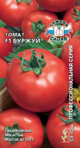 Семена помидоров лучшие сорта для открытого грунта - гибридный Буржуй