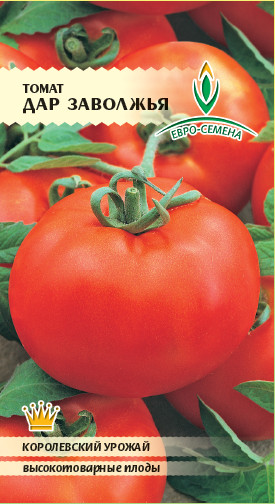 Семена помидоров лучшие сорта для открытого грунта - салатный Дар Заволжья