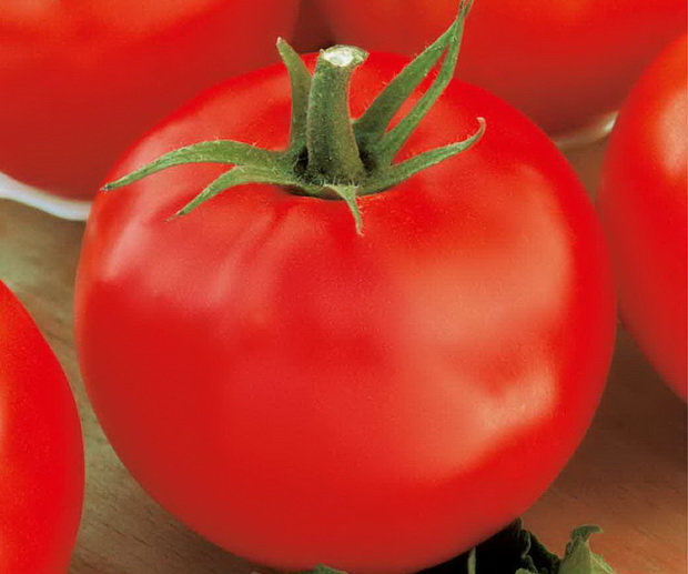 Сорта помидор для теплицы из поликарбоната - среднеспелый Буржуй