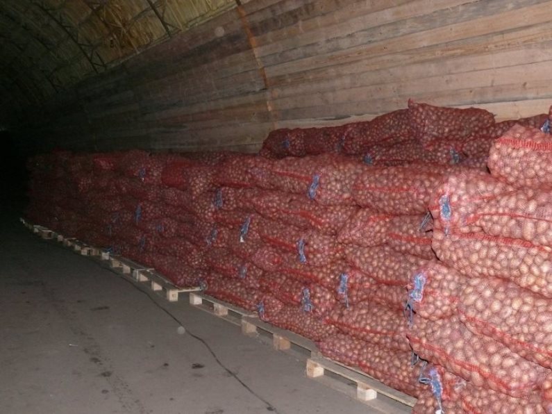 Длительное хранение картофеля в подвале на даче - условия, температура, сроки