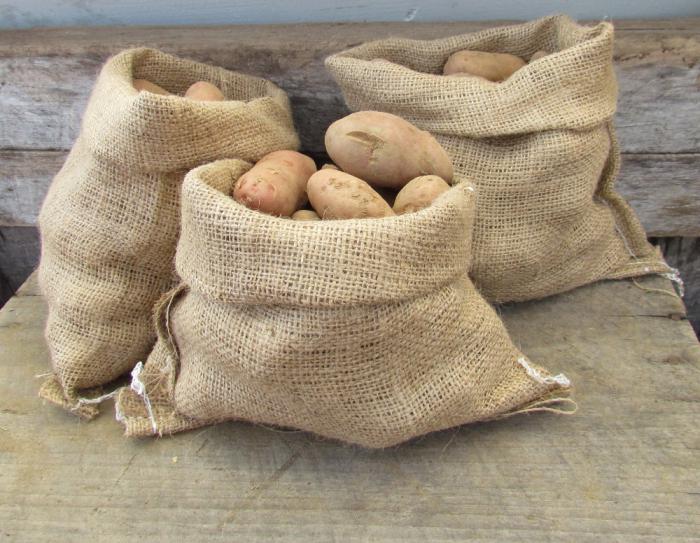 Как хранить картофель в погребе в мешках