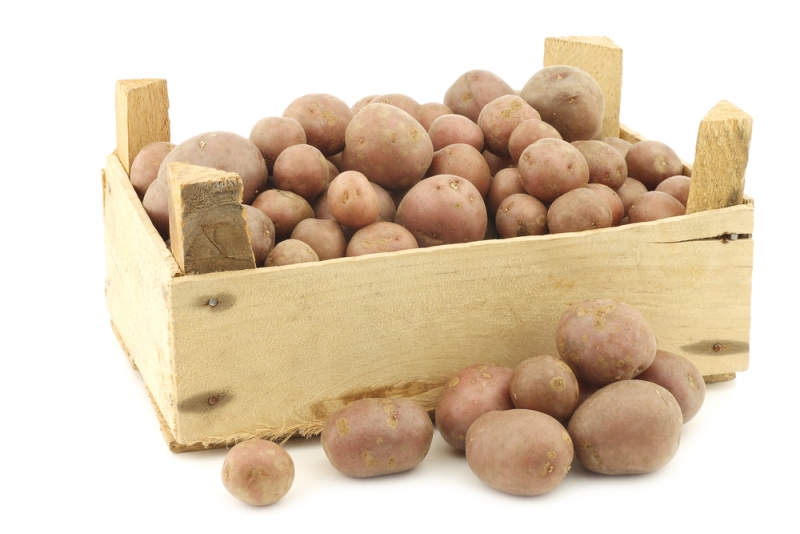 Как обеспечить сохранность картошки до весны в свежем виде