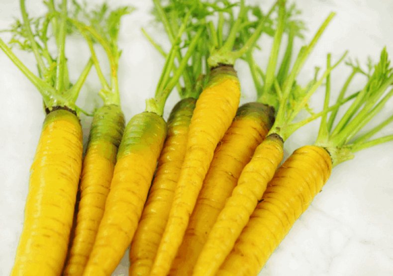Особенности выращивания моркови желтого цвета, характеристики необычного овоща