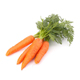 Раздел Морковь
