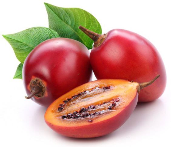 Общеукрепляющие и поливитаминные свойства ягод шиповника